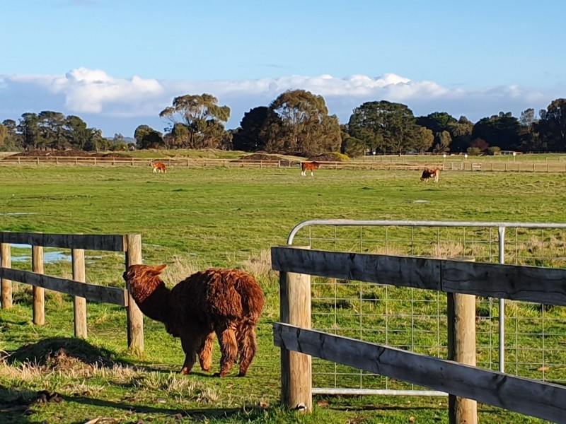 Tooradin VIC 3980