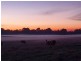 Tooradin VIC 3980