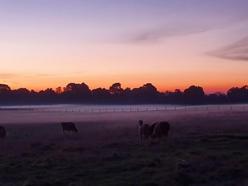 Tooradin VIC 3980