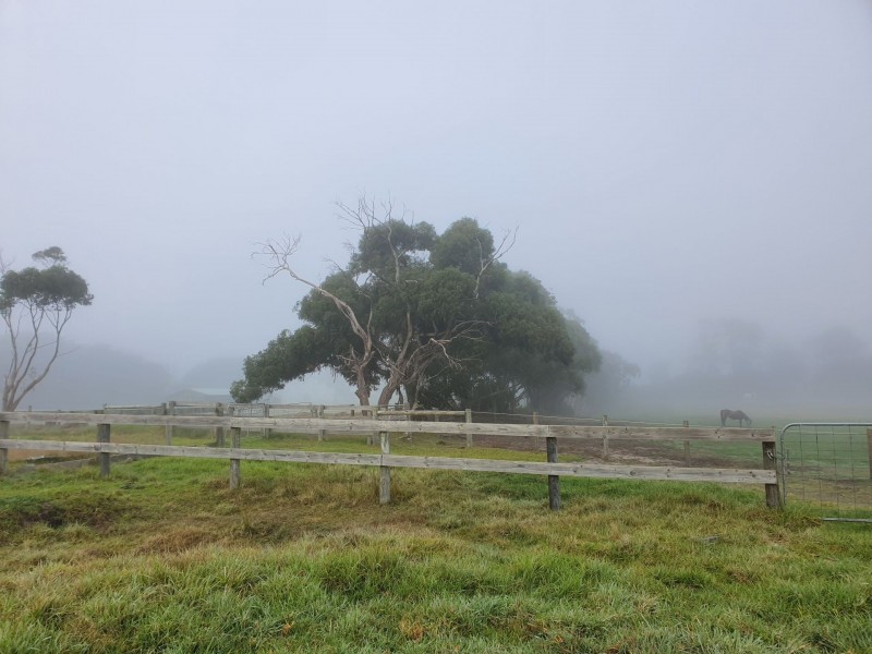 Tooradin VIC 3980