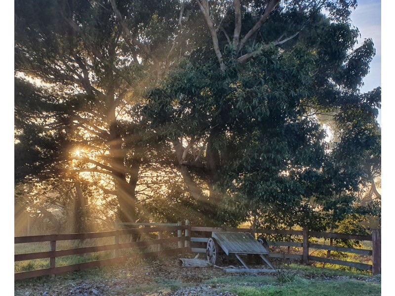 Tooradin VIC 3980