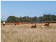 Tooradin VIC 3980