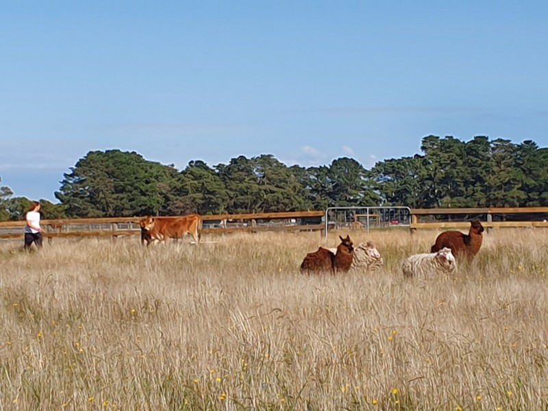 Tooradin VIC 3980