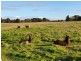 Tooradin VIC 3980