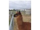 Tooradin VIC 3980