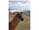 Tooradin VIC 3980