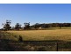 118 Cleve Road, Cleve SA 5640