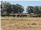 387 Oates Road, Tutunup WA 6280