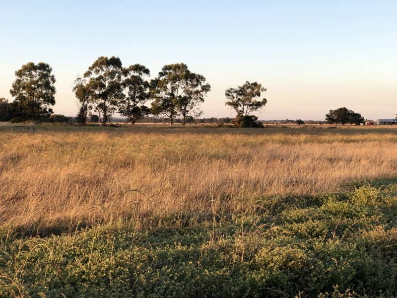 387 Oates Road, Tutunup WA 6280