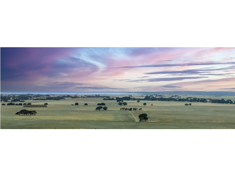 141 Quartz Hill Road, North Shields SA 5607