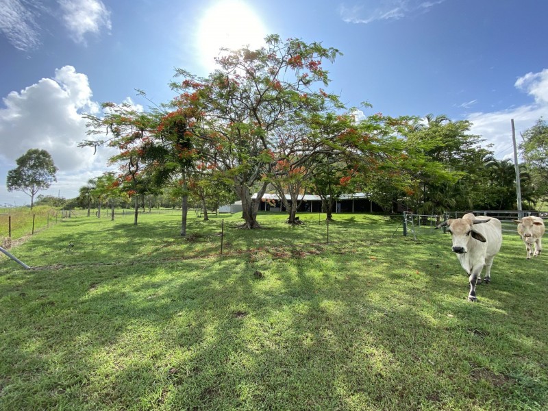 24768 Peak Downs Hwy, Victoria Plains QLD 4751