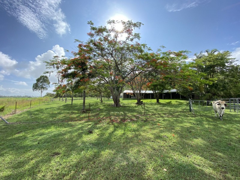 24768 Peak Downs Hwy, Victoria Plains QLD 4751