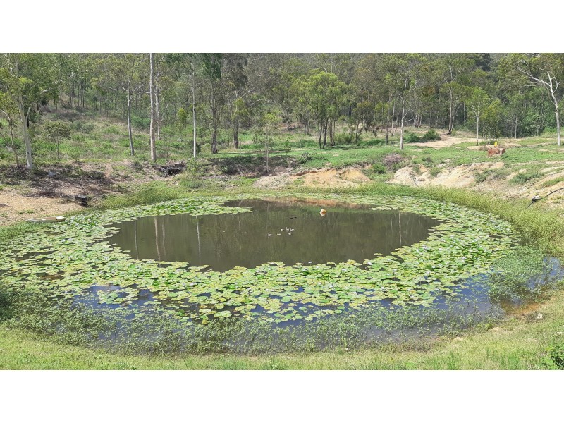 153 Leaholme Road, Nankin QLD 4701