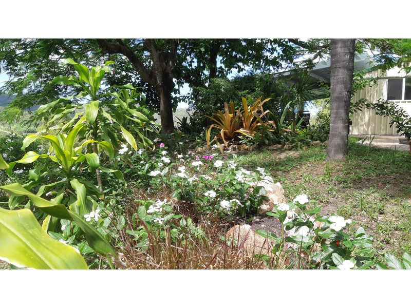 153 Leaholme Road, Nankin QLD 4701