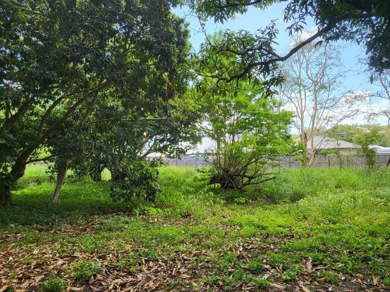 101 Shute Harbour Road, Cannonvale QLD 4802