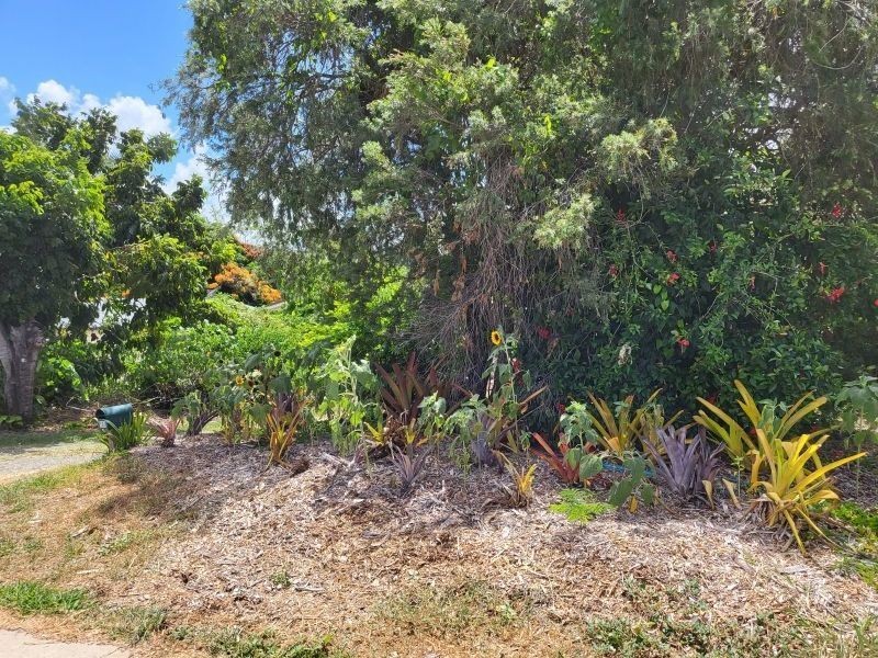 101 Shute Harbour Road, Cannonvale QLD 4802