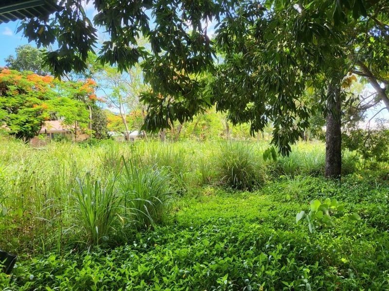 101 Shute Harbour Road, Cannonvale QLD 4802