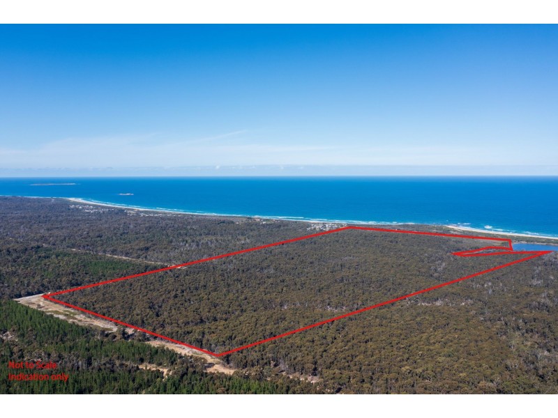 Lot 1 Tasman Highway, Scamander TAS 7215