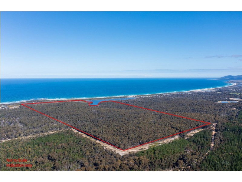 Lot 1 Tasman Highway, Scamander TAS 7215