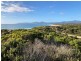 Lot 1 Tasman Highway, Scamander TAS 7215