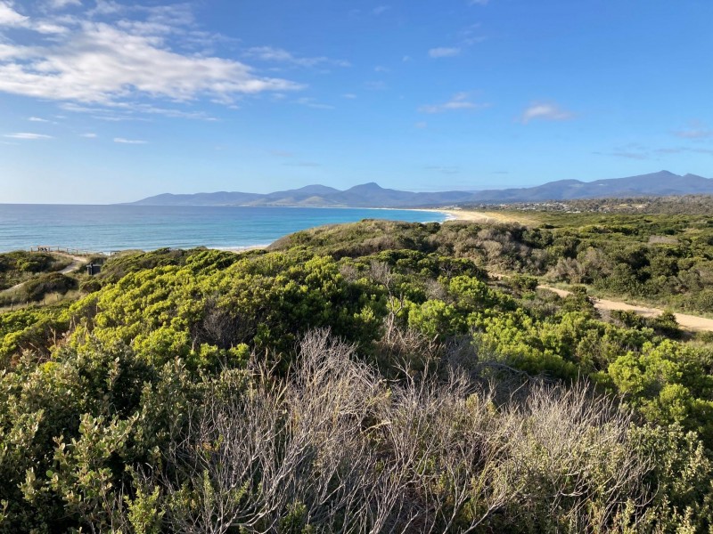 Lot 1 Tasman Highway, Scamander TAS 7215