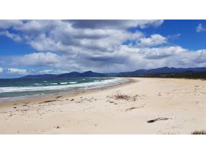 Lot 1 Tasman Highway, Scamander TAS 7215