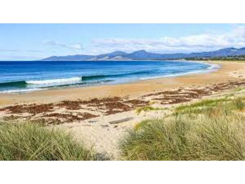 Lot 1 Tasman Highway, Scamander TAS 7215
