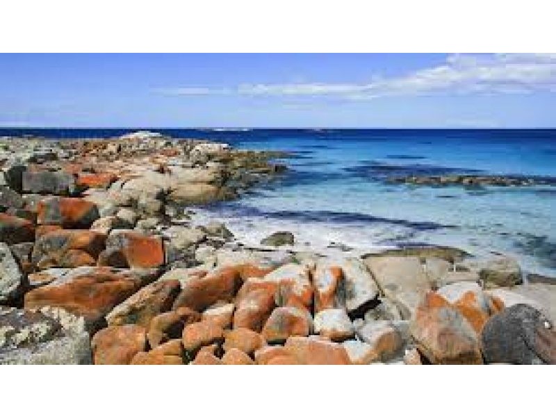 Lot 1 Tasman Highway, Scamander TAS 7215