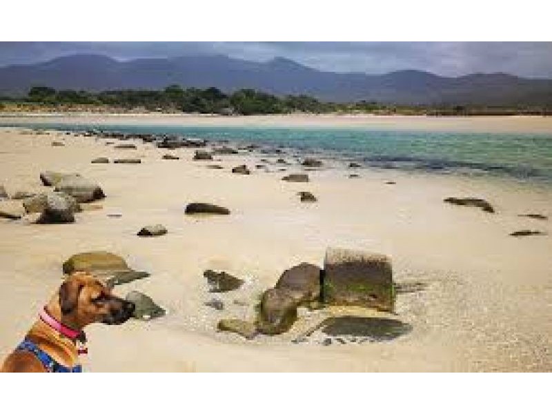 Lot 1 Tasman Highway, Scamander TAS 7215