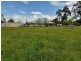 51 Hawkey Road, Drouin VIC 3818