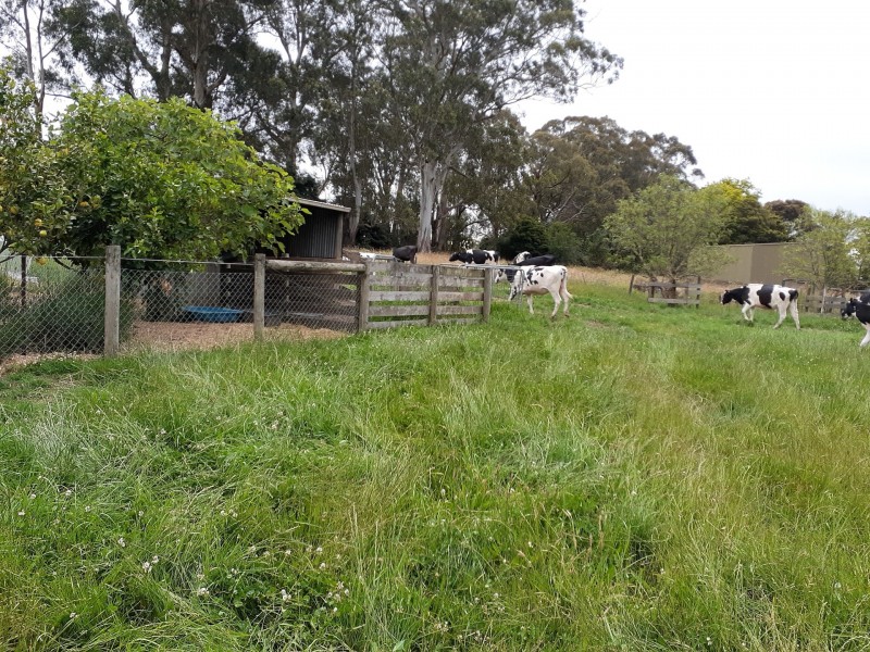 51 Hawkey Road, Drouin VIC 3818