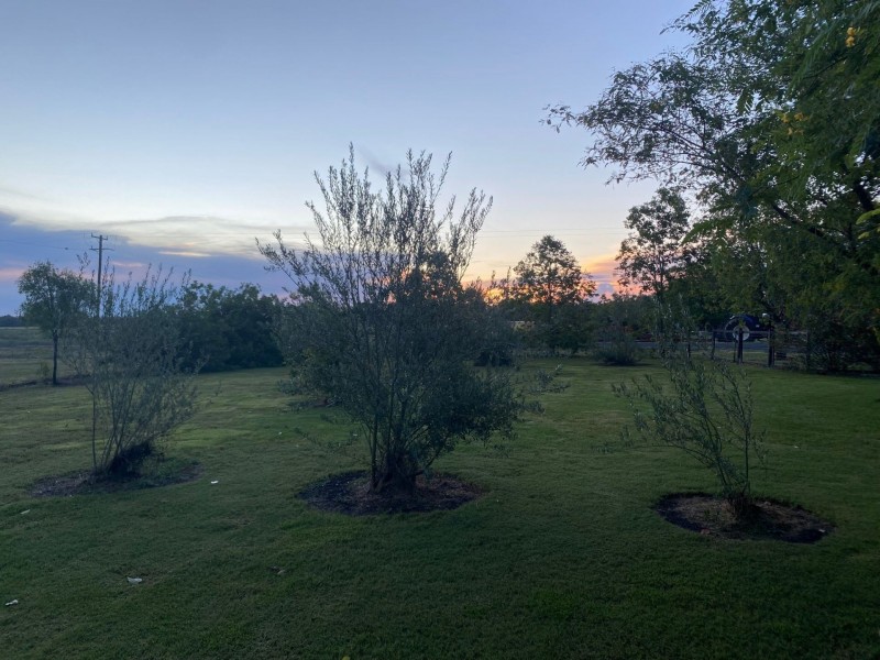 57 Mallee Road, Moree NSW 2400