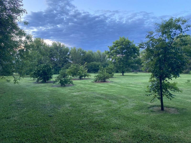 57 Mallee Road, Moree NSW 2400