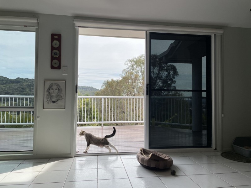 21 Brosnahan Court, Belivah QLD 4207