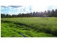 789 Crownthorpe Rd, Crownthorpe QLD 4605