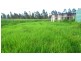 789 Crownthorpe Rd, Crownthorpe QLD 4605
