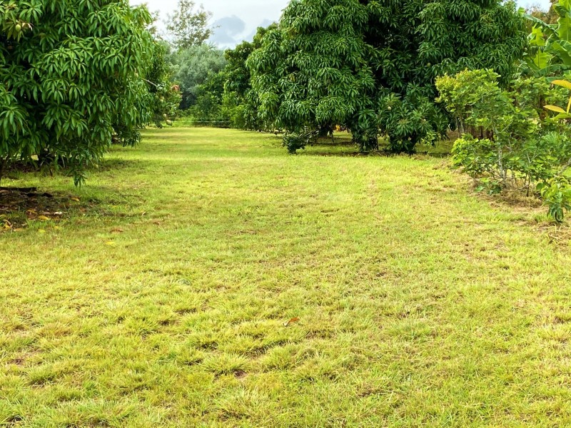789 Crownthorpe Rd, Crownthorpe QLD 4605