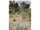 789 Crownthorpe Rd, Crownthorpe QLD 4605