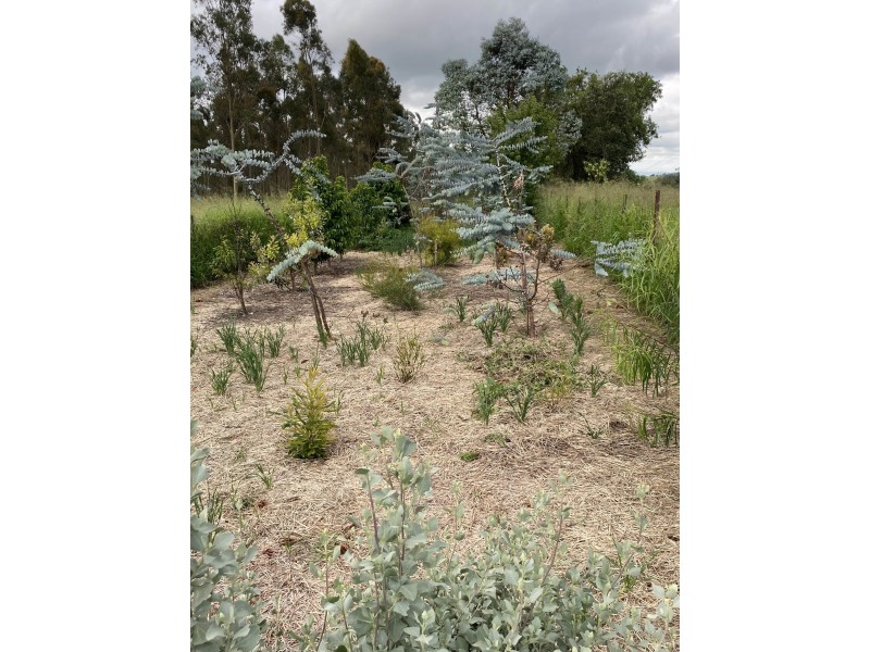 789 Crownthorpe Rd, Crownthorpe QLD 4605