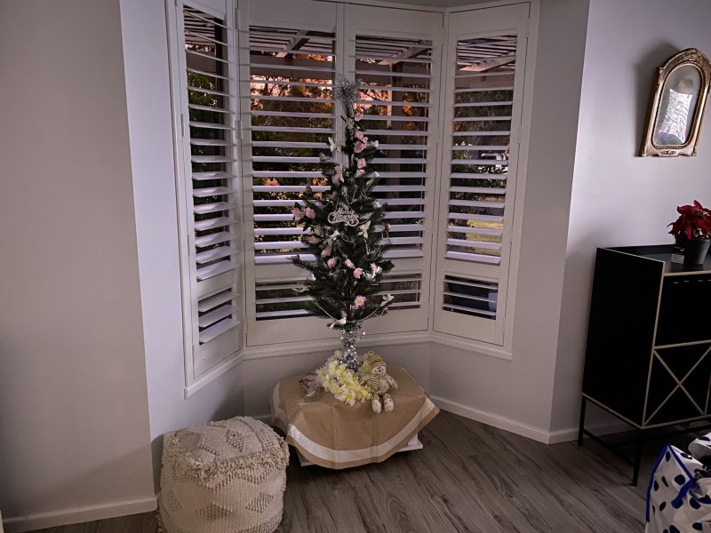 273 Ocean Drive, Withers WA 6230