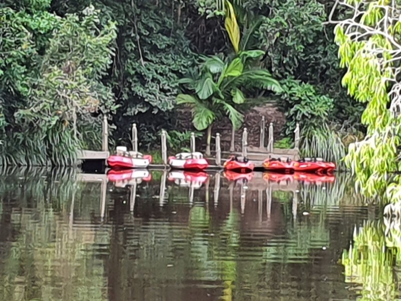 218 Yaxleys Road, Byfield QLD 4703