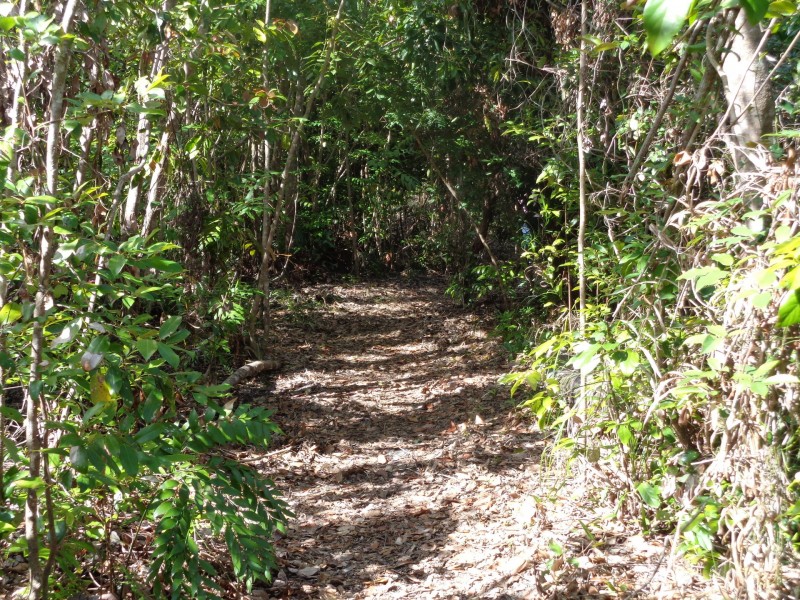 218 Yaxleys Road, Byfield QLD 4703