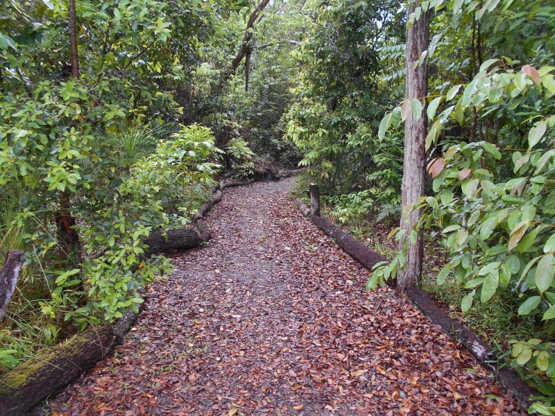 218 Yaxleys Road, Byfield QLD 4703