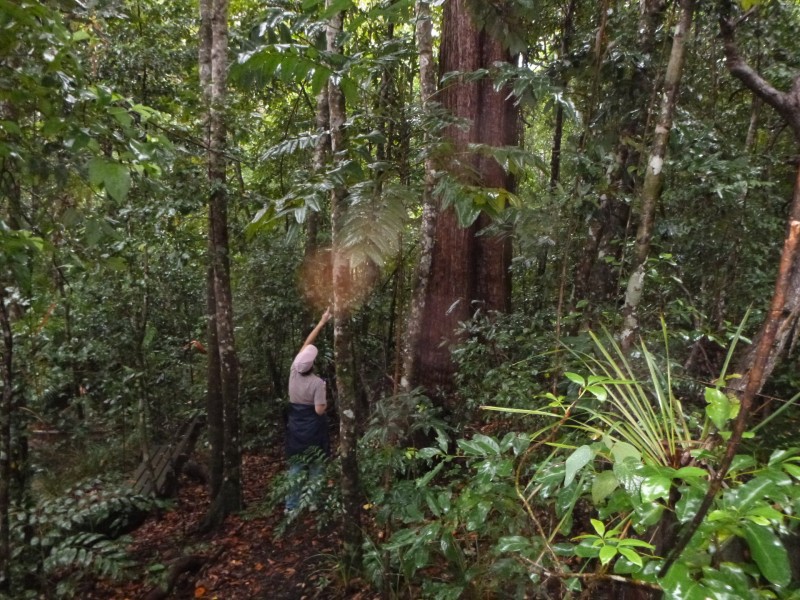 218 Yaxleys Road, Byfield QLD 4703