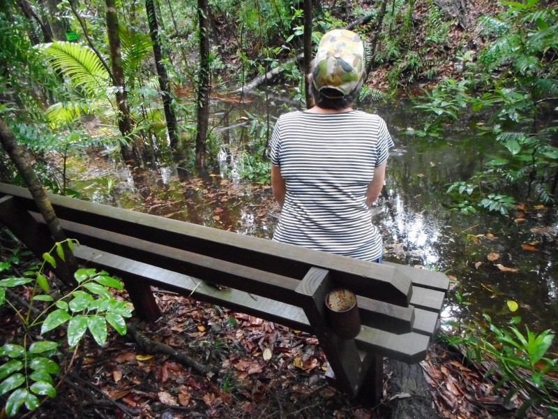 218 Yaxleys Road, Byfield QLD 4703