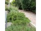 18 De Lisle ave, Sunbury VIC 3429