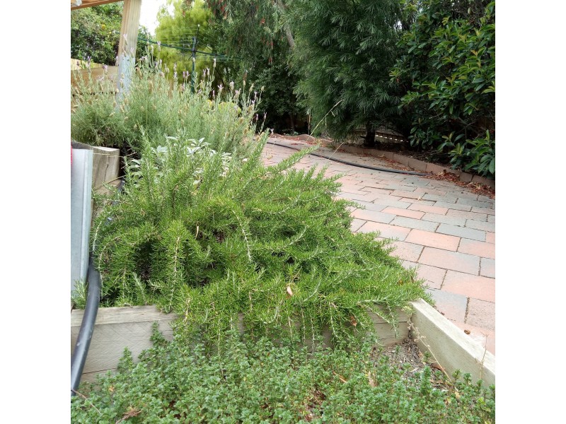 18 De Lisle ave, Sunbury VIC 3429