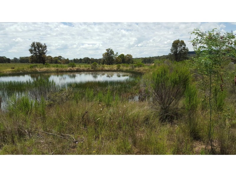 1803 Blue Springs Rd, Bungaba NSW 2852