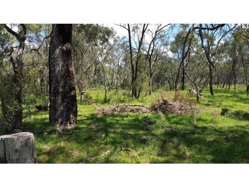 1803 Blue Springs Rd, Bungaba NSW 2852