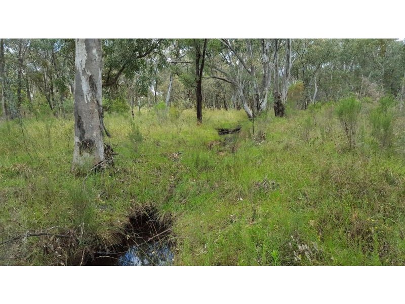 1803 Blue Springs Rd, Bungaba NSW 2852